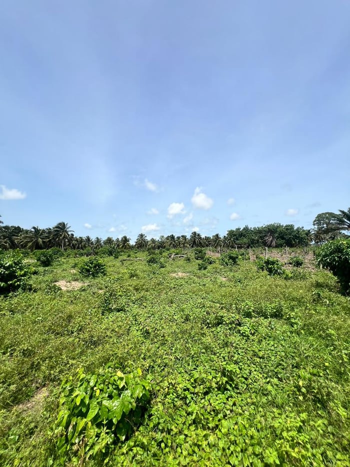 Terrain de 1,5 hectares à vendre à Assinie Essankro image